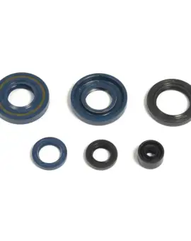 Serie Paraolio Motor