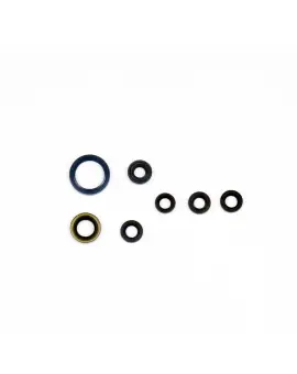 Serie Paraolio Motor