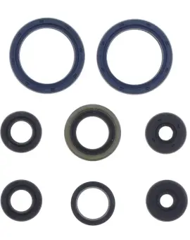 Serie Paraolio Motor