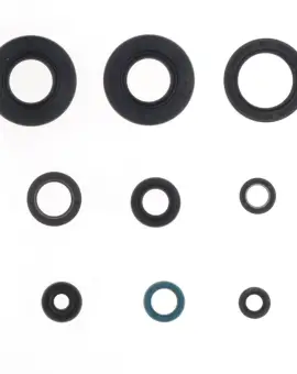 Serie Paraolio Motor