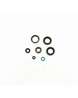 Serie Paraolio Motor