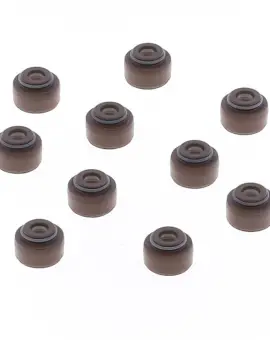 Serie Paraolio Guida