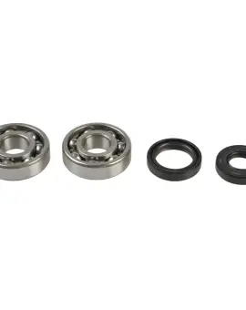 Kit Revisione Albero
