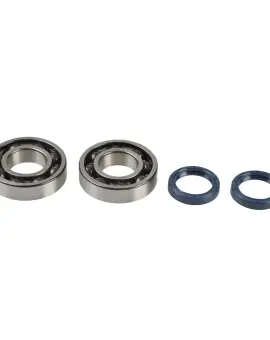 Kit Revisione Albero