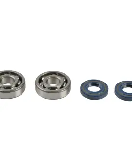 Kit Revisione Albero
