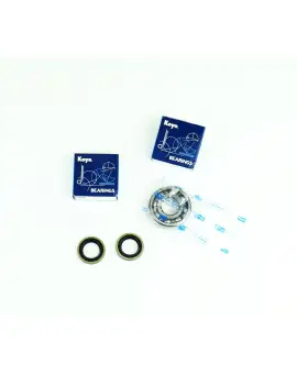Kit Revisione Albero