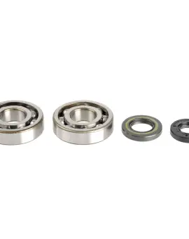 Kit Revisione Albero