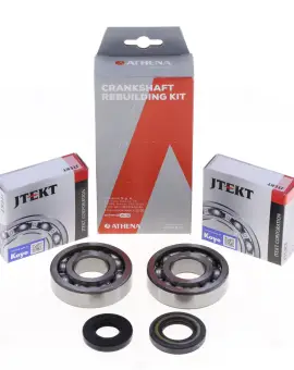 Kit Revisione Albero