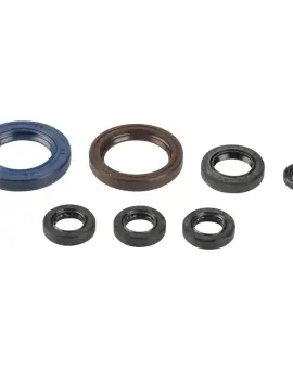 Serie Paraolio Motor