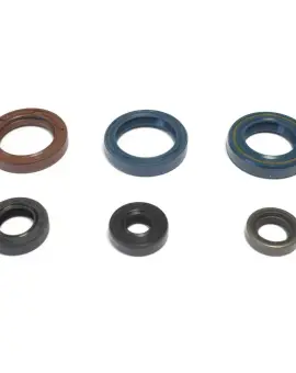 Serie Paraolio Motor
