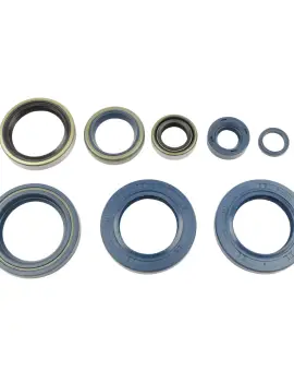 Serie Paraolio Motor