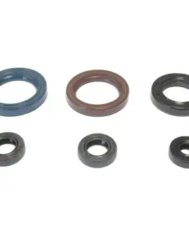 Serie Paraolio Motor