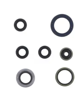Serie Paraolio Motor