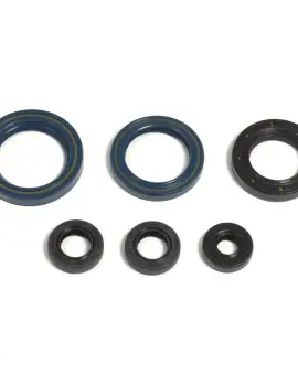Serie Paraolio Motor