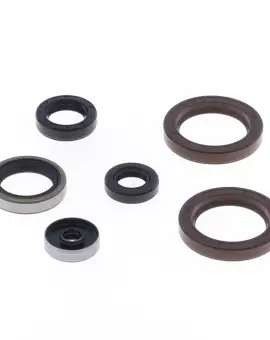 Serie Paraolio Motor