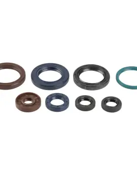 Serie Paraolio Motor