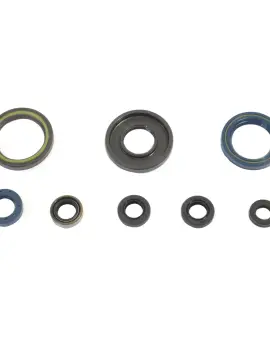 Serie Paraolio Motor