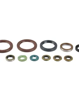 Serie Paraolio Motor
