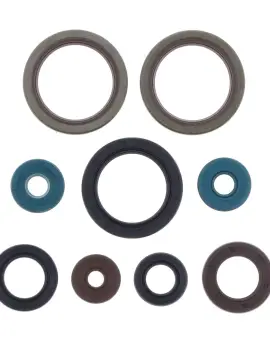 Serie Paraolio Motor