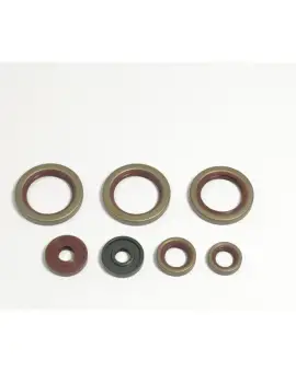 Serie Paraolio Motor