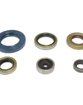 Serie Paraolio Motor