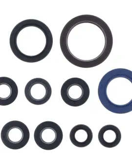 Serie Paraolio Motor