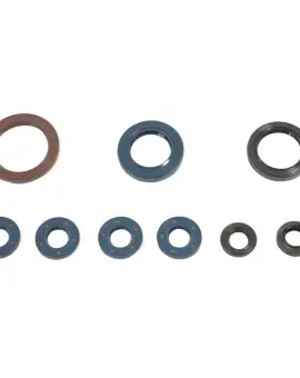 Serie Paraolio Motor