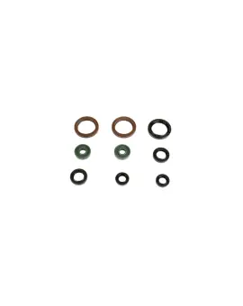 Serie Paraolio Motor