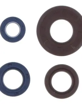 Serie Paraolio Motor