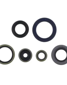 Serie Paraolio Motor