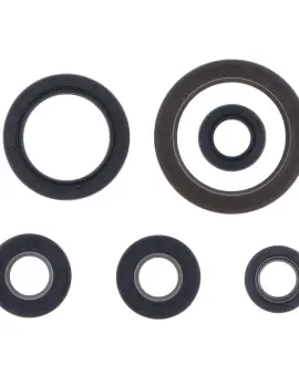 Serie Paraolio Motor