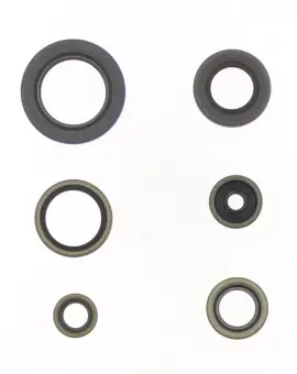 Serie Paraolio Motor