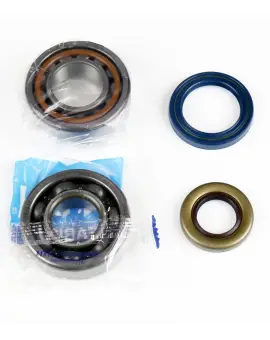 Kit Revisione Albero