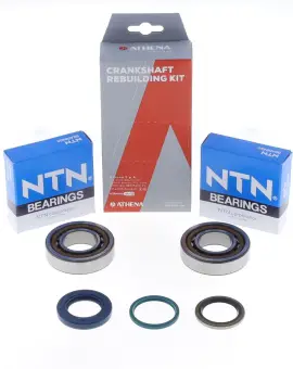Kit Revisione Albero
