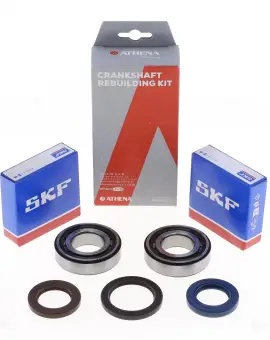 Kit Revisione Albero