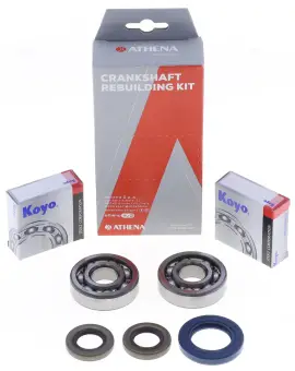 Kit Revisione Albero