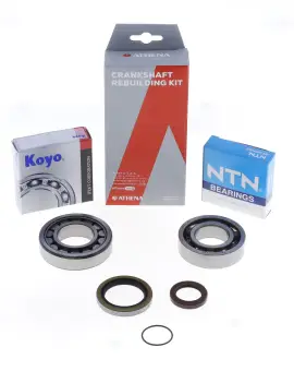 Kit Revisione Albero