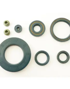 Serie Paraolio Motor