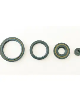 Serie Paraolio Motor