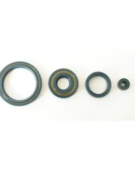 Serie Paraolio Motor