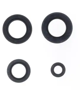 Serie Paraolio Motor
