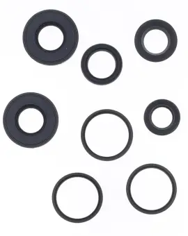Serie Paraolio Motor