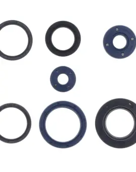 Serie Paraolio Motor