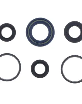 Serie Paraolio Motor