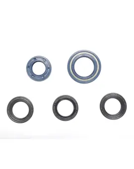 Serie Paraolio Motor
