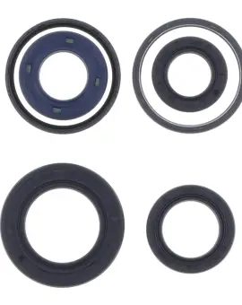 Serie Paraolio Motor