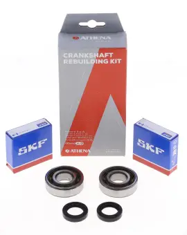 Kit Revisione Albero