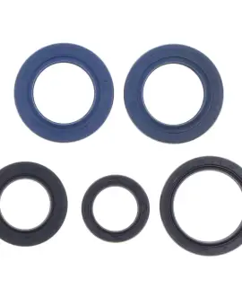 Serie Paraolio Motor