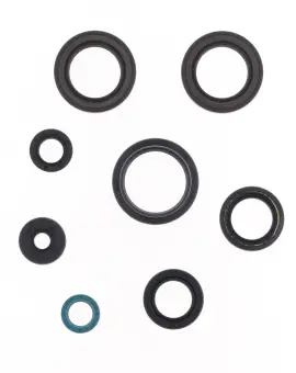 Serie Paraolio Motor