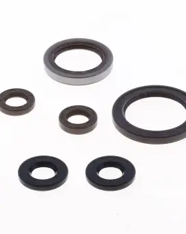 Serie Paraolio Motor